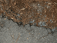 asphalt ground transition