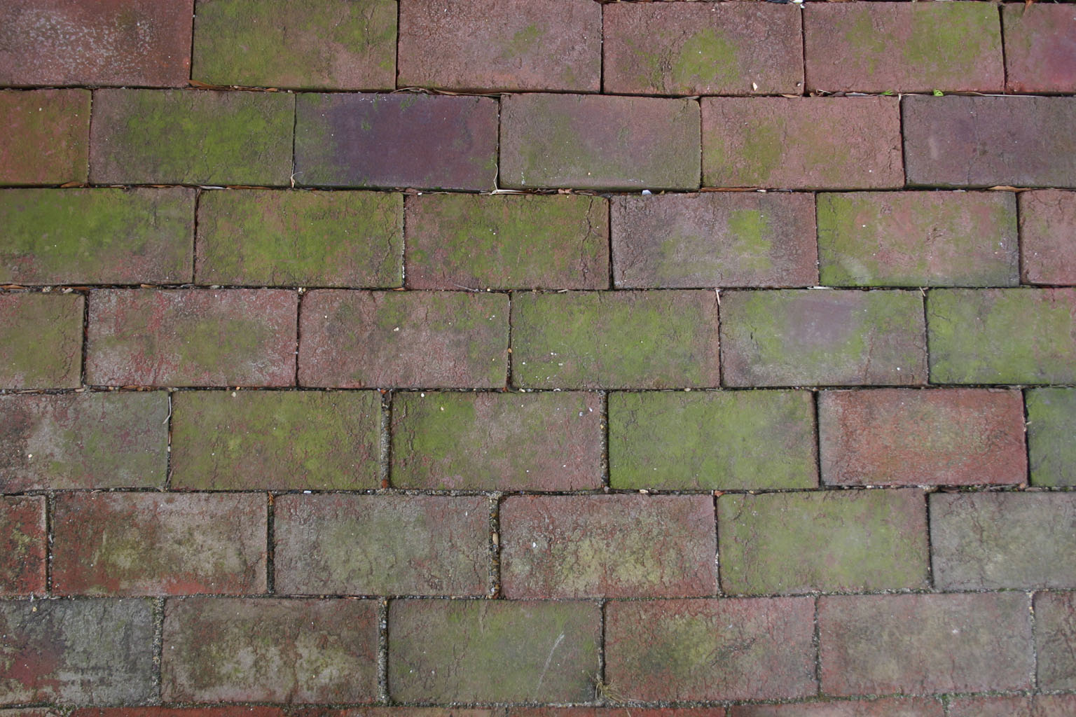 brick14
