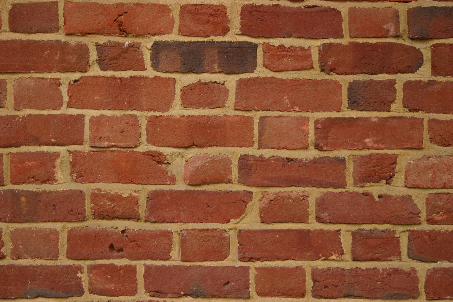 brick19