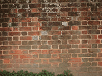 bricks 21