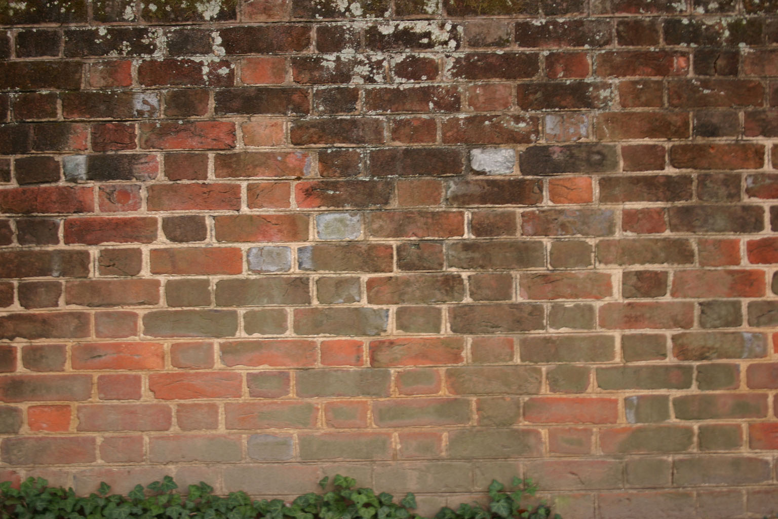 brick21