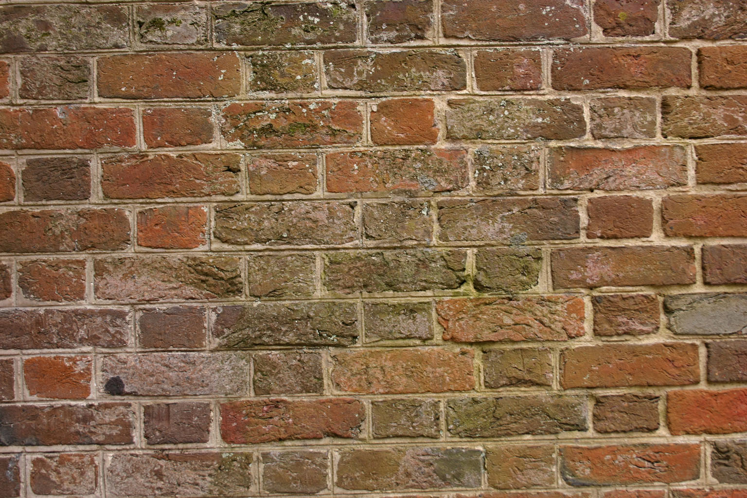 brick22