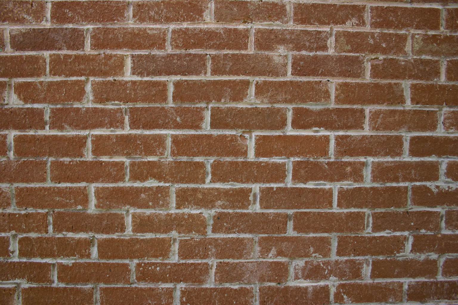 brick24