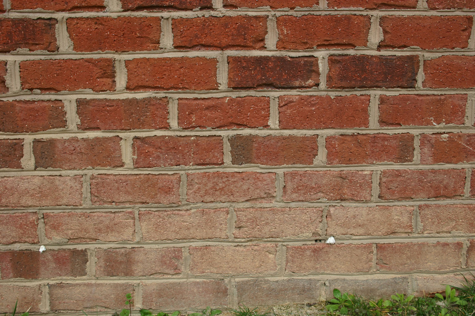 brick31