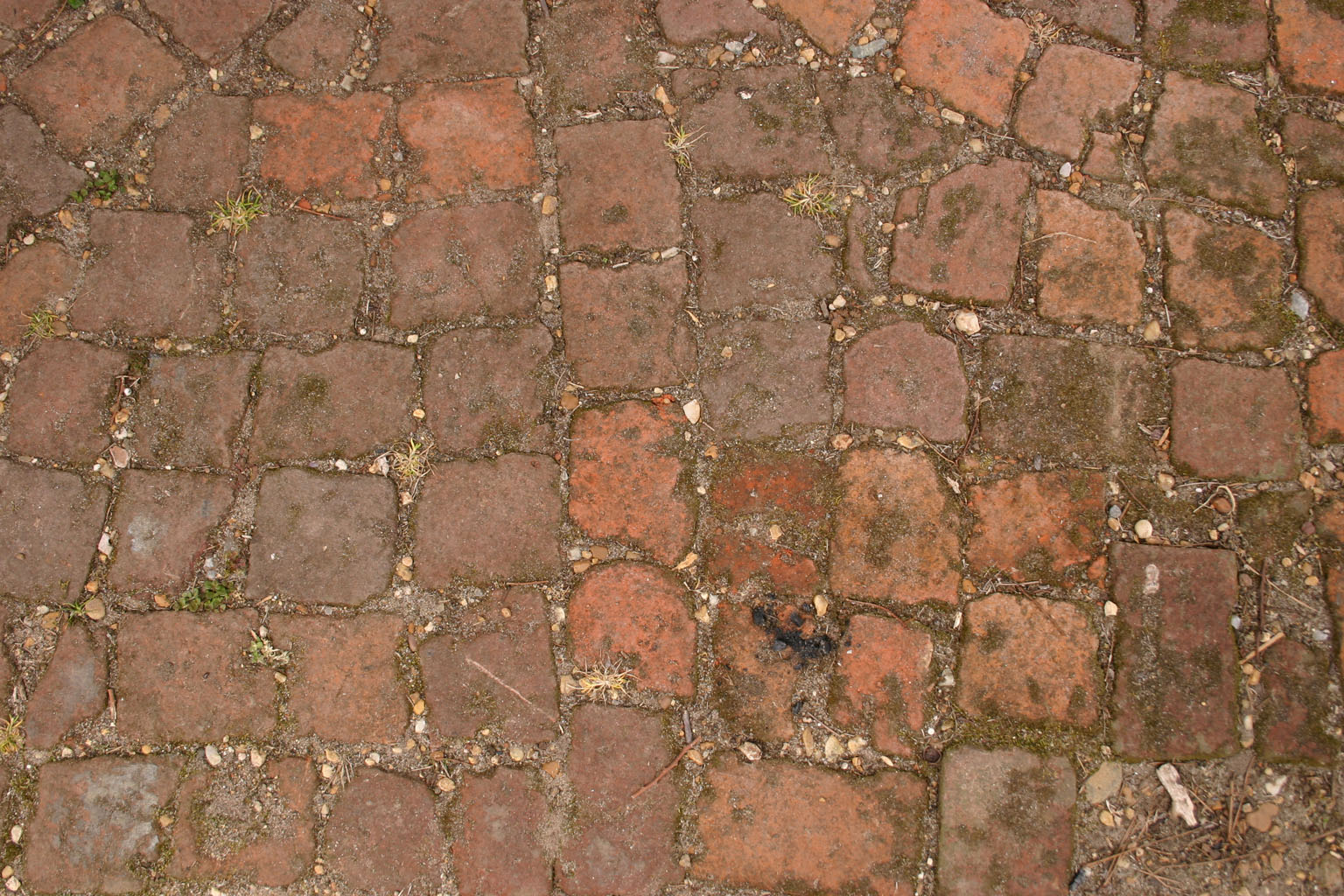 brick_path