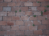 bricks 37
