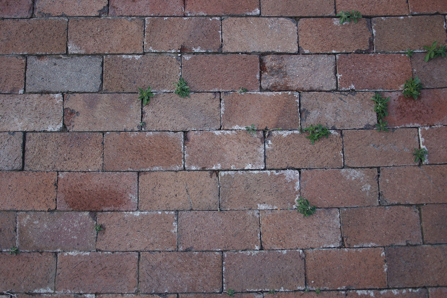 bricks37