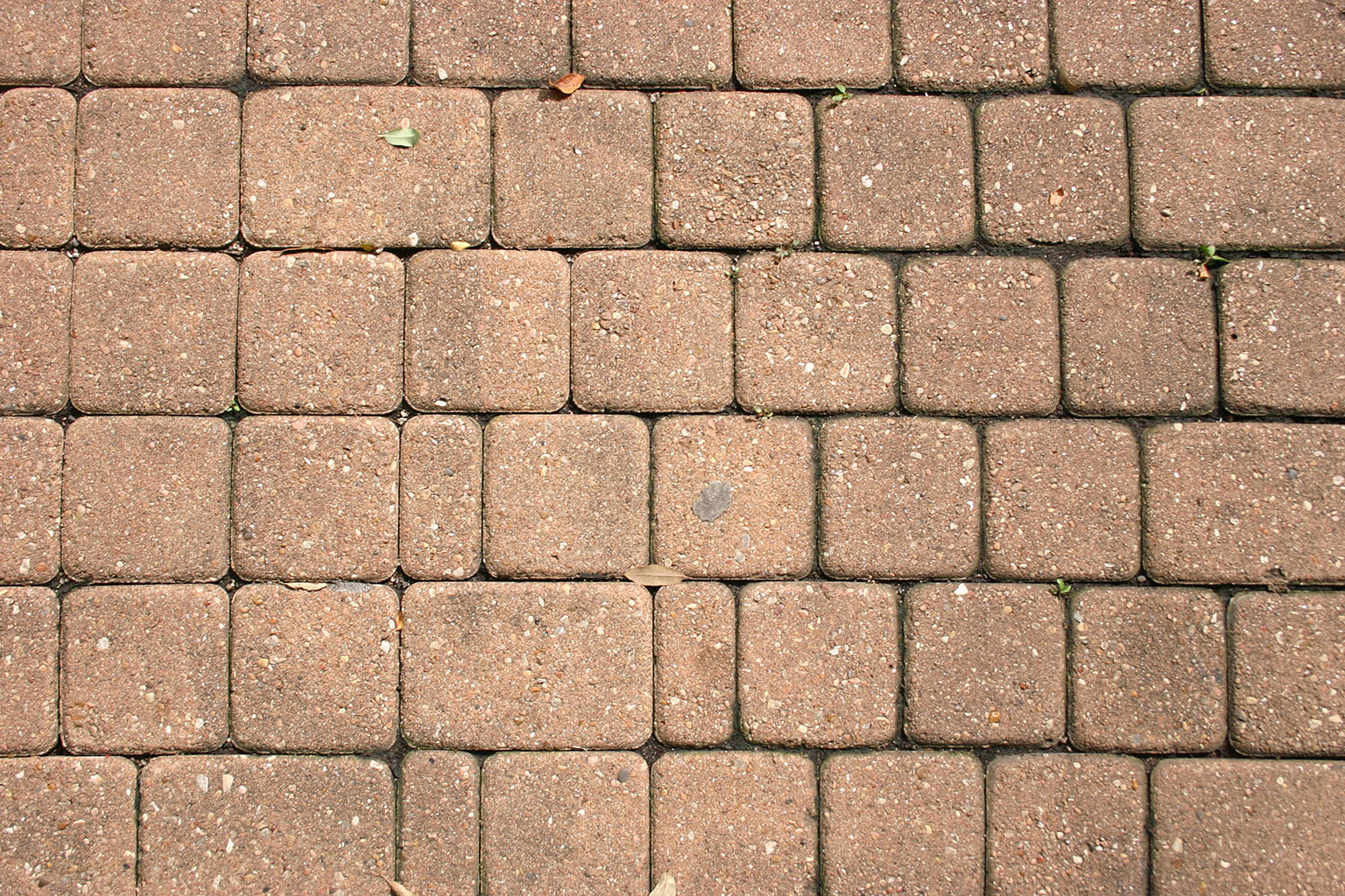 bricks41