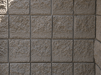 bricks 50