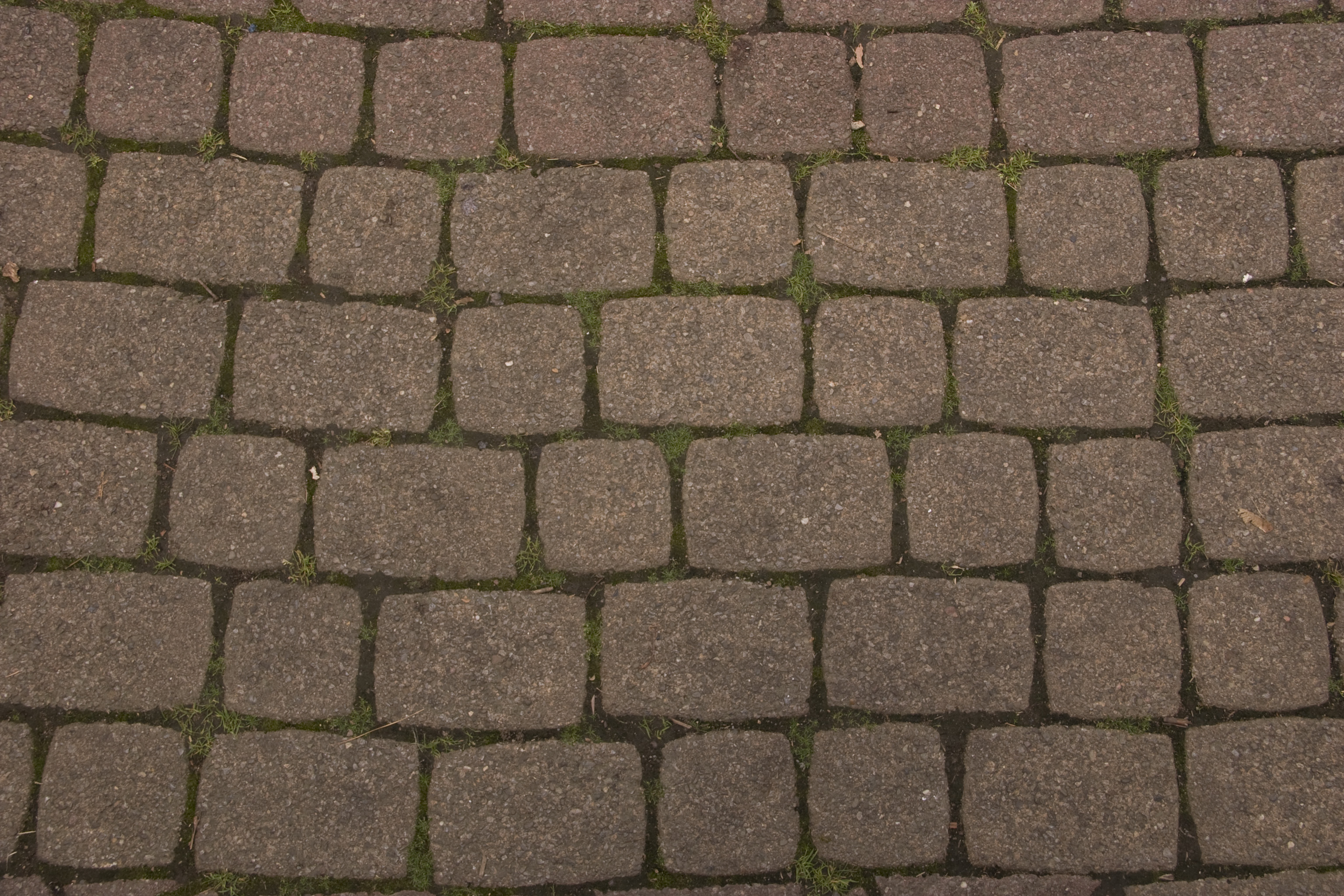 bricks53