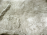 cement 11