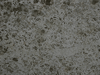 cement 19