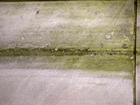 cement 20