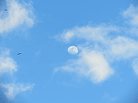 clouds 18