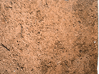 dirt2