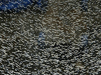 broken window glass 2