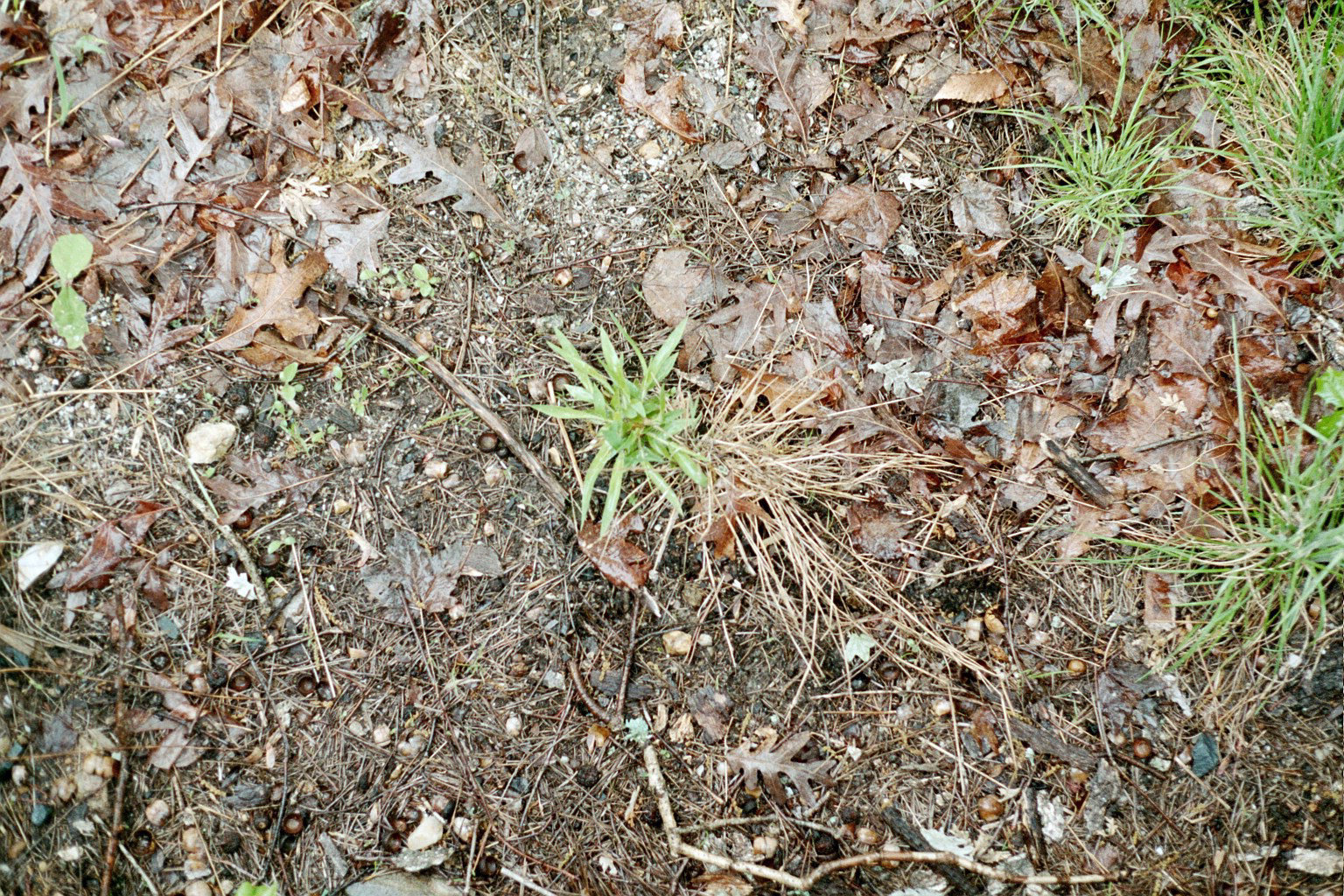 ground02