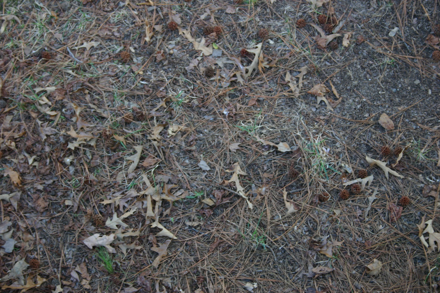 ground07