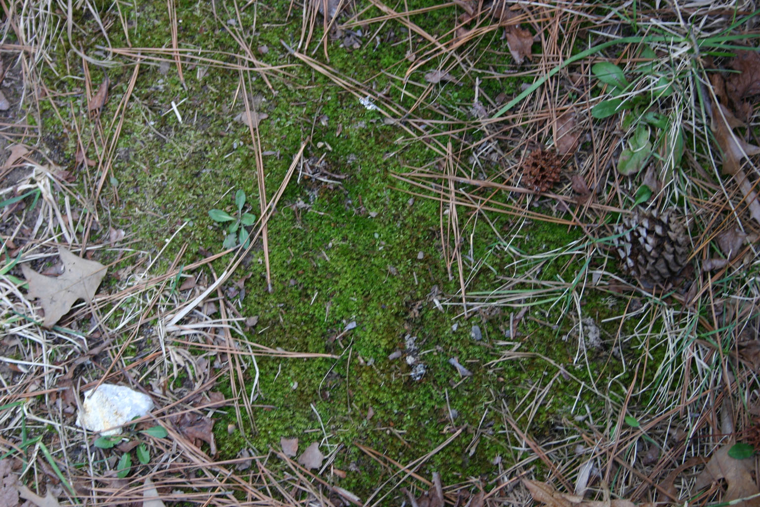 ground08