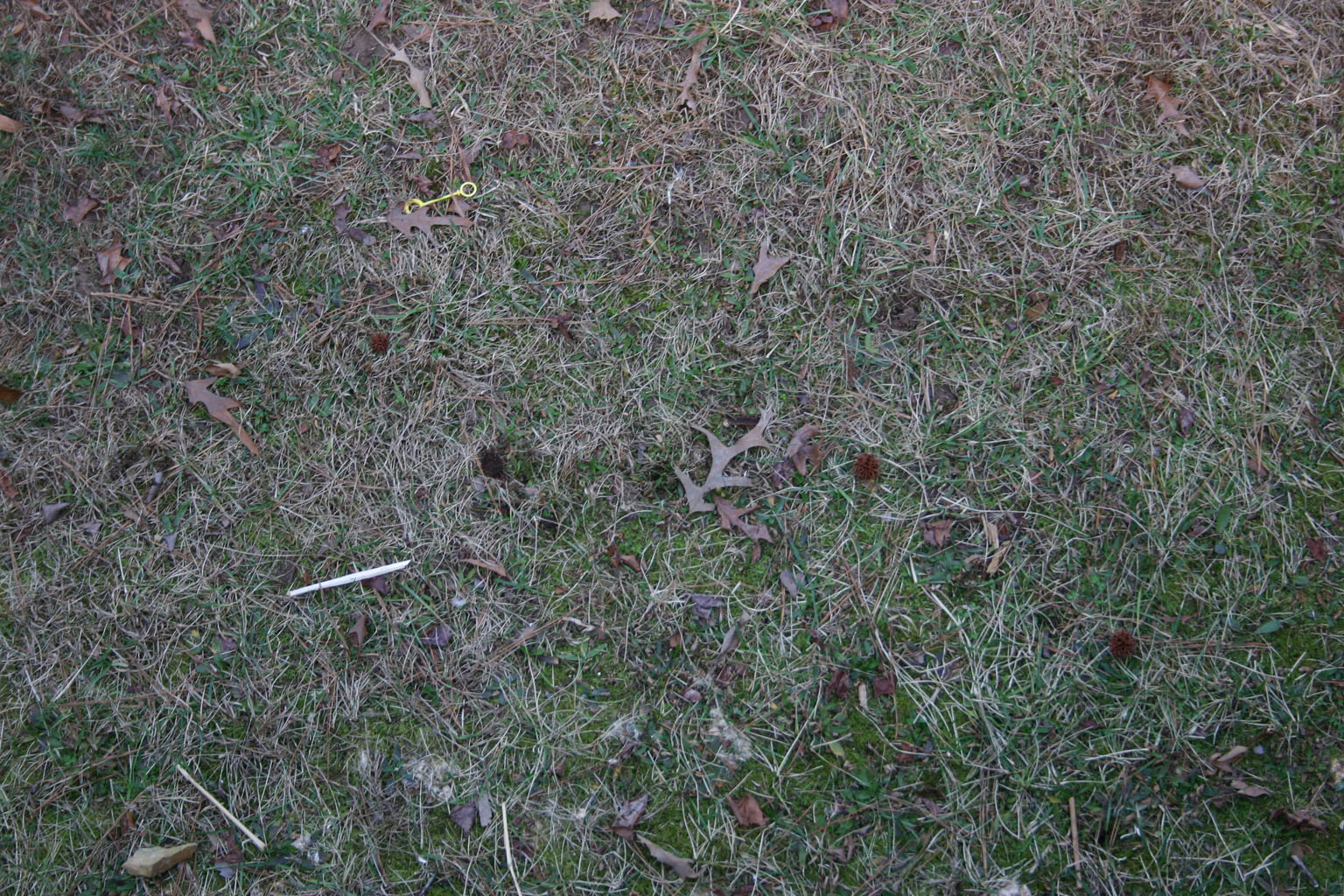 ground09
