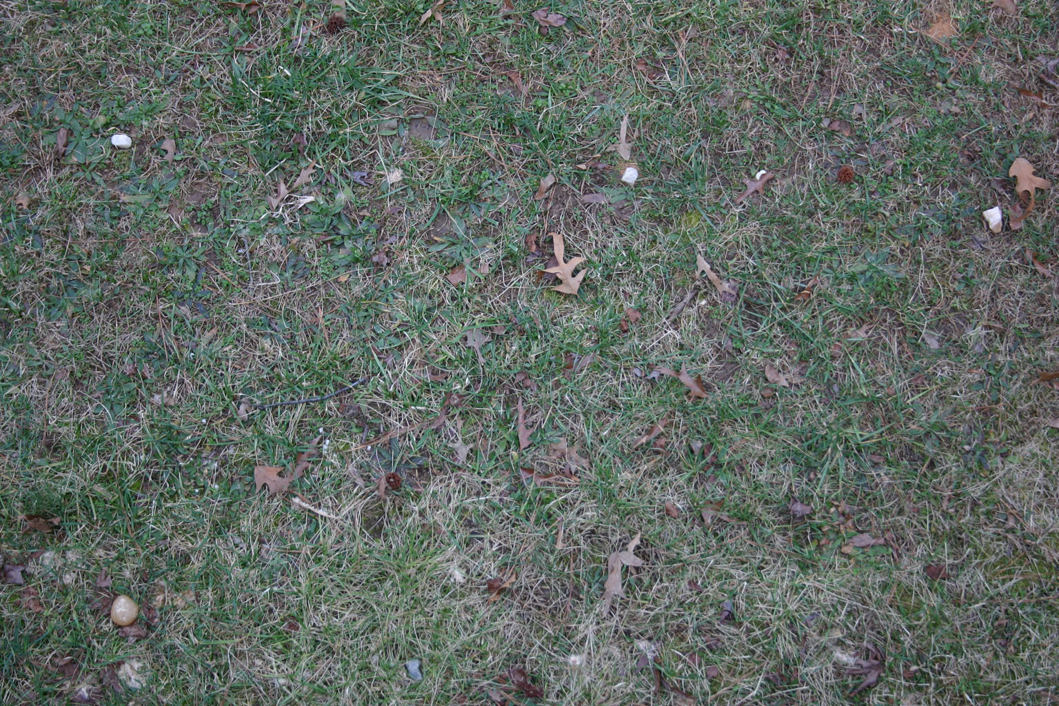 ground10
