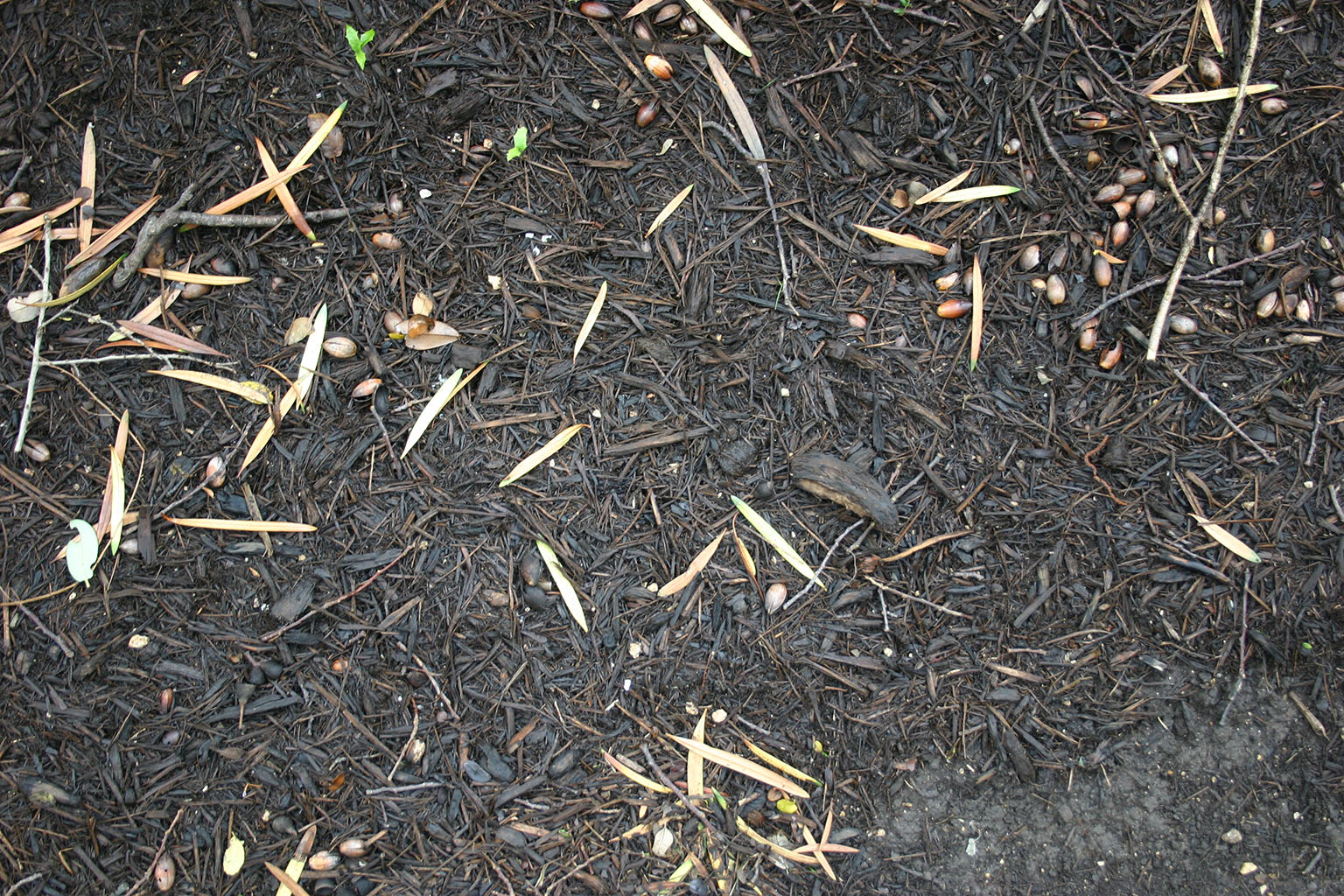 ground16