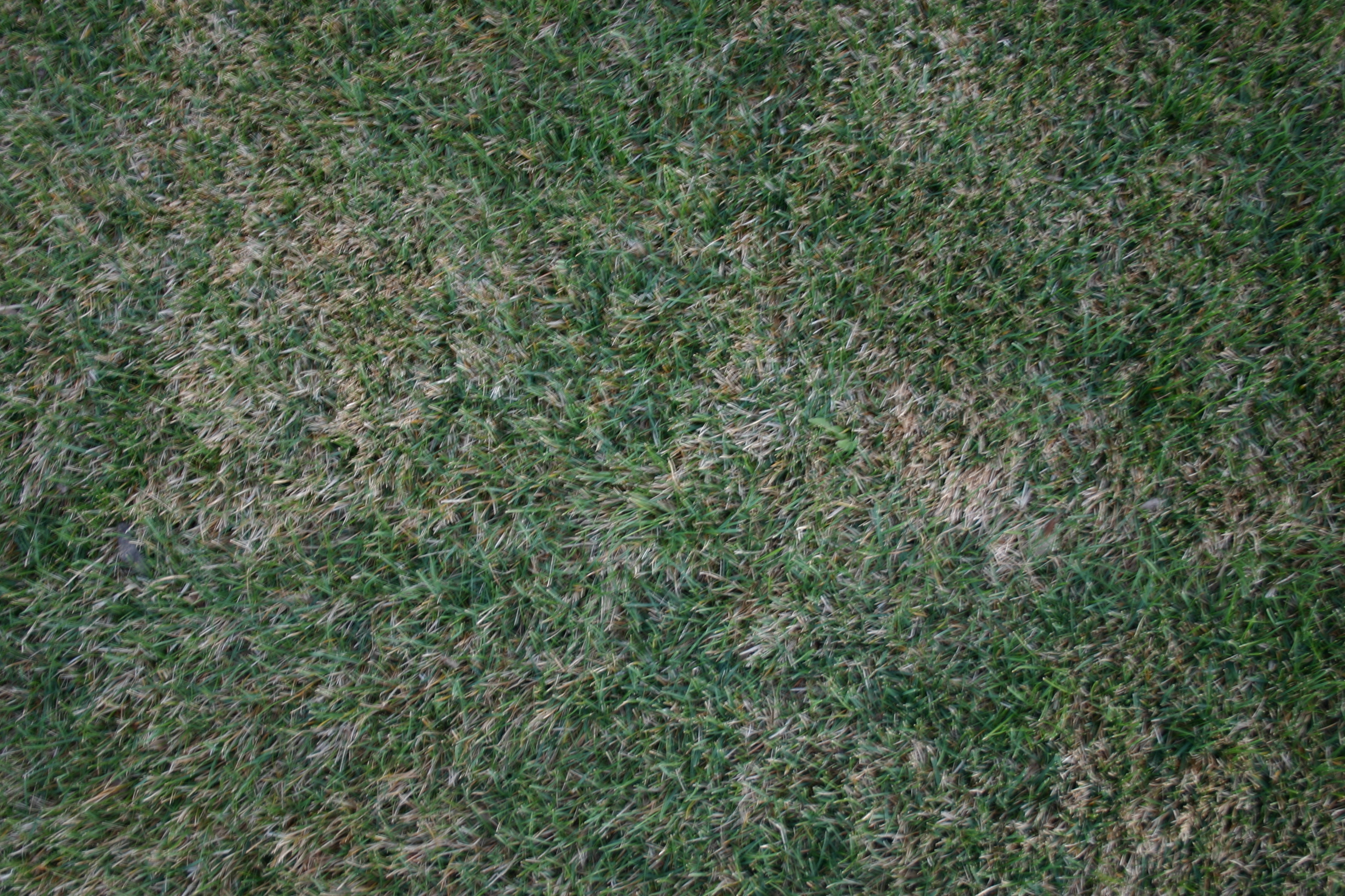 ground28