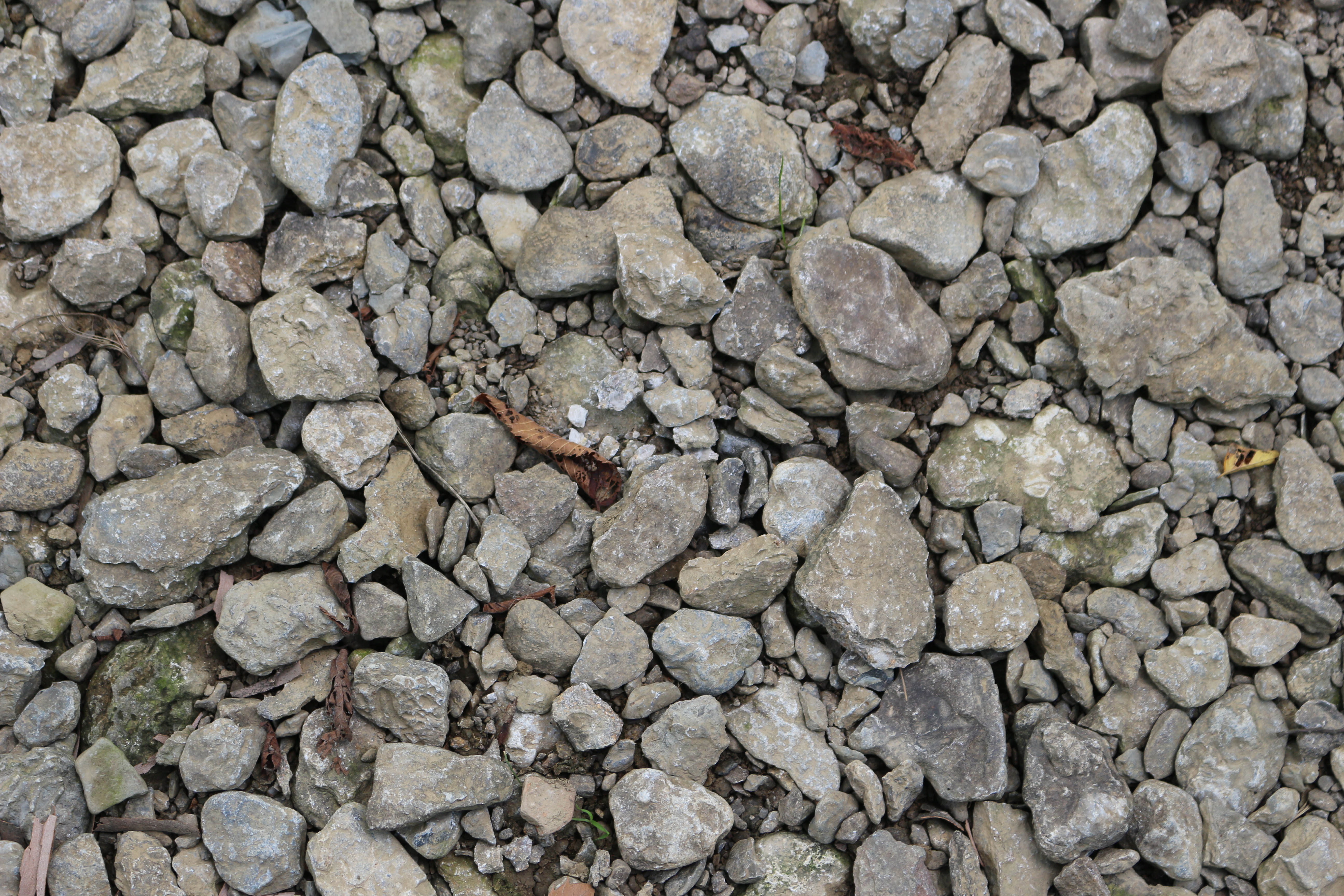 ground50