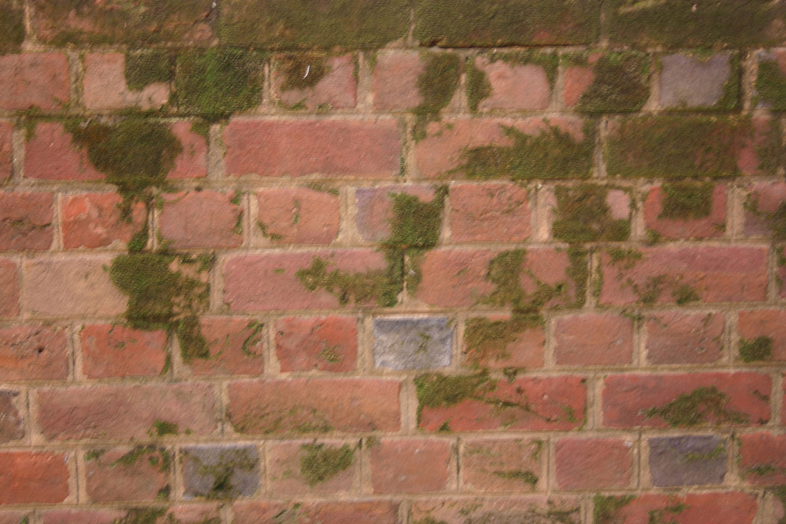 mossy_brick