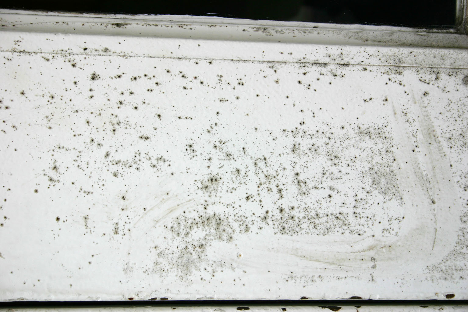 paint_mold