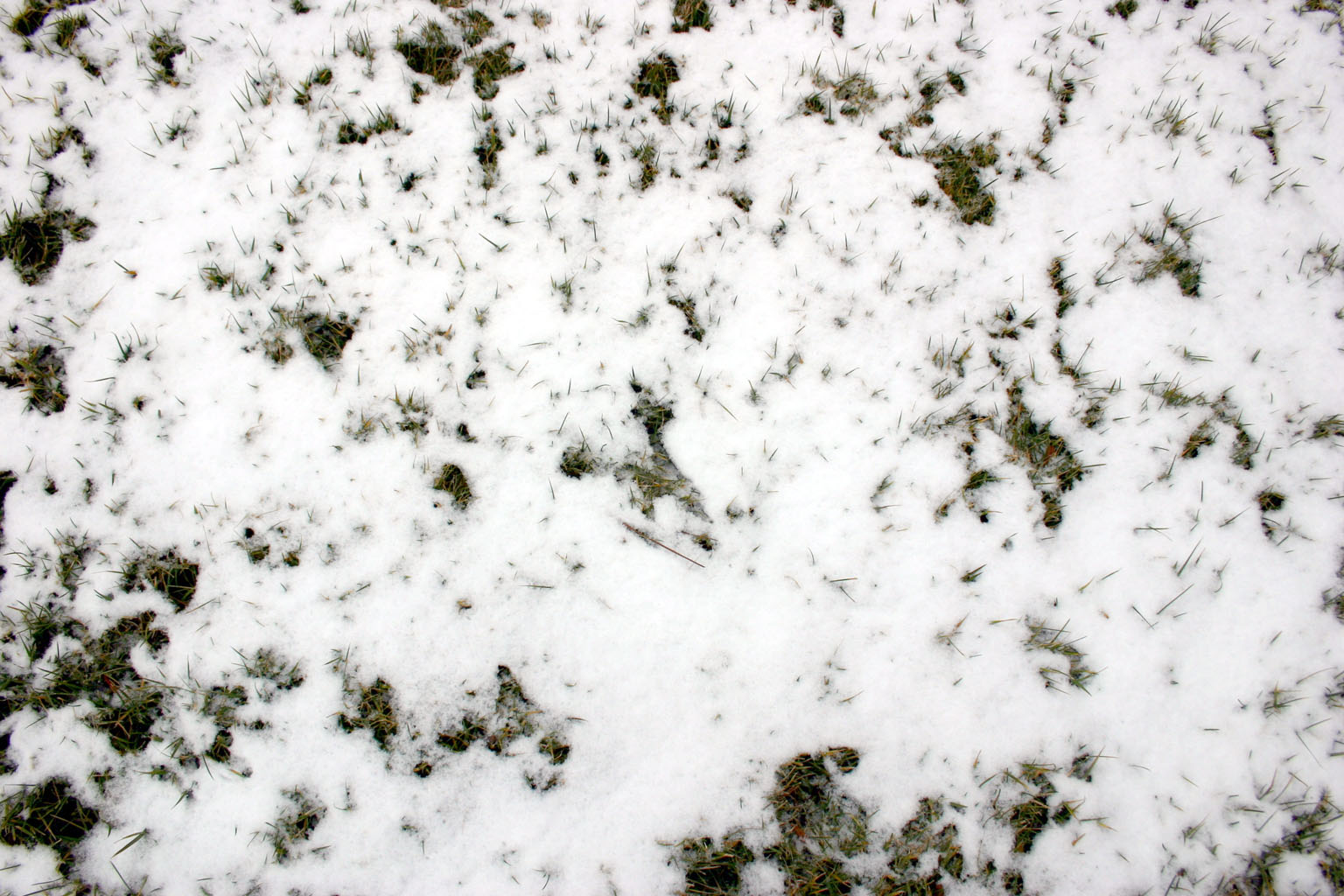 snow03