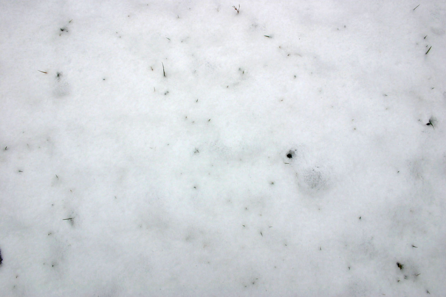 snow04