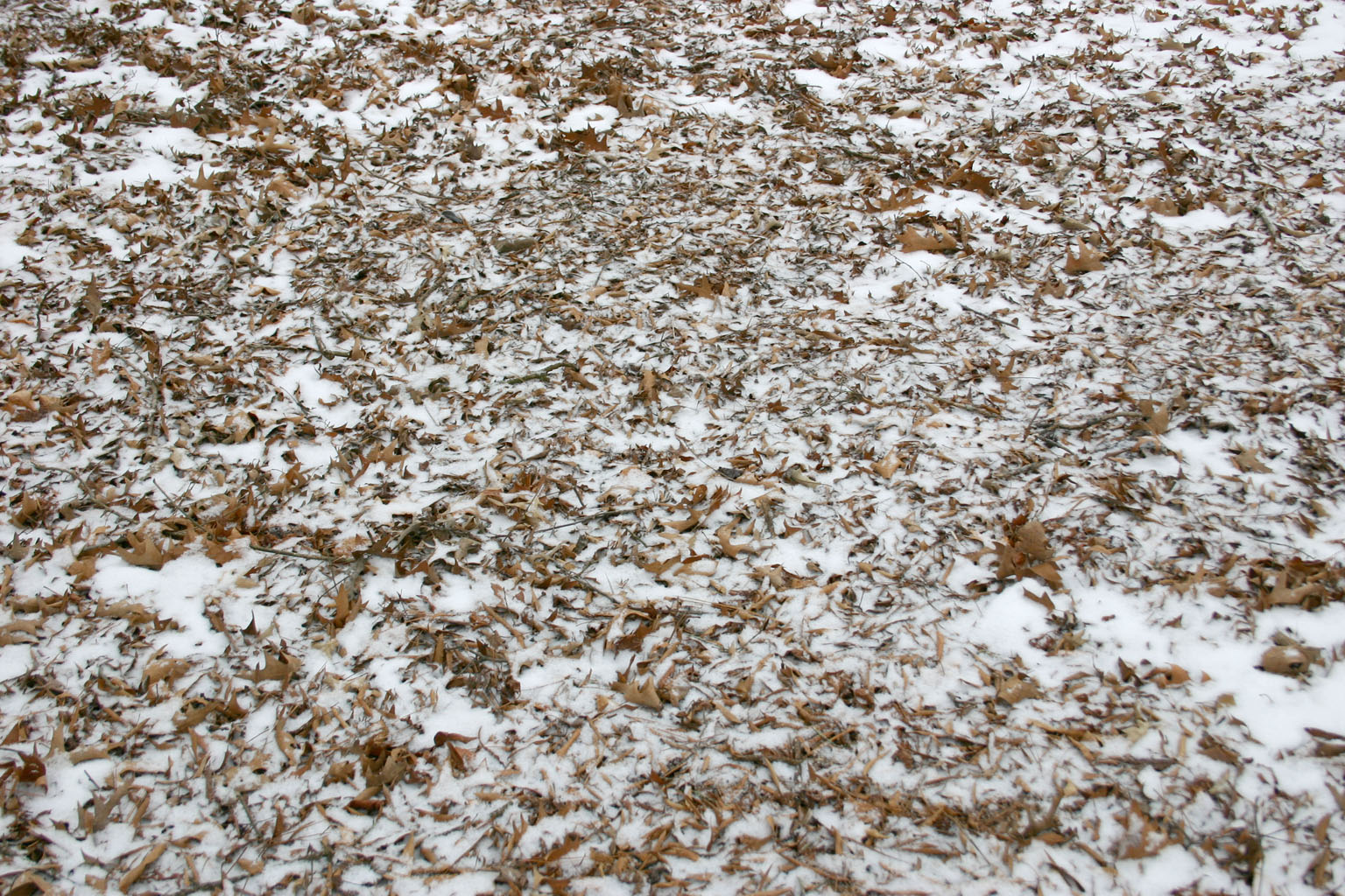 snow17