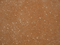 stucco 01