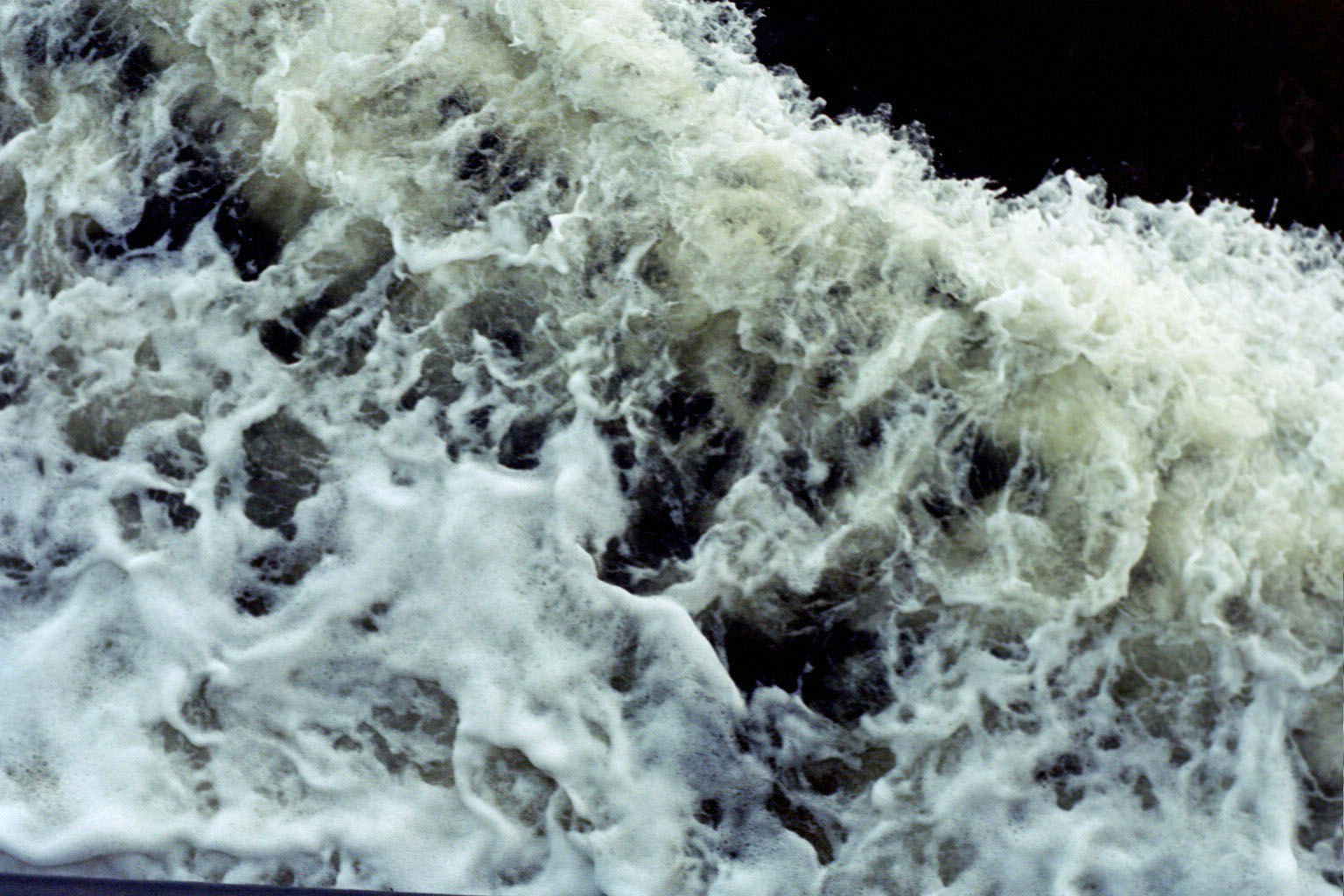 wake01