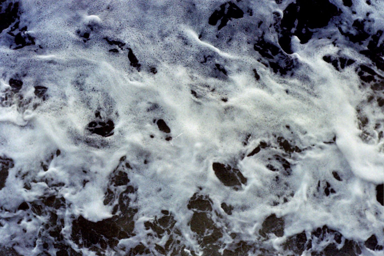 wake04