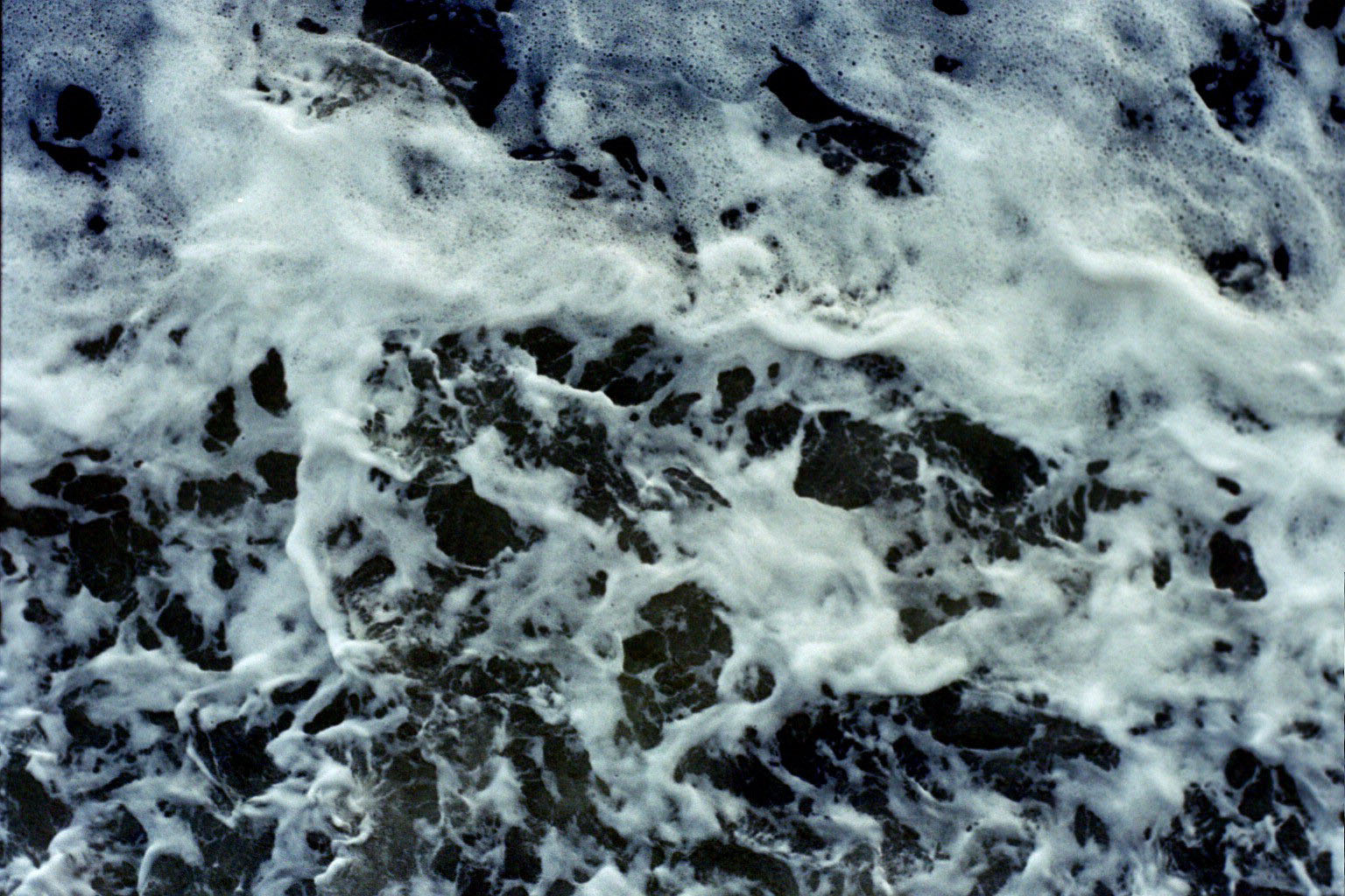wake06