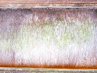 wood 12
