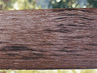 wood 13