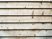 wood 17