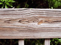 wood 18