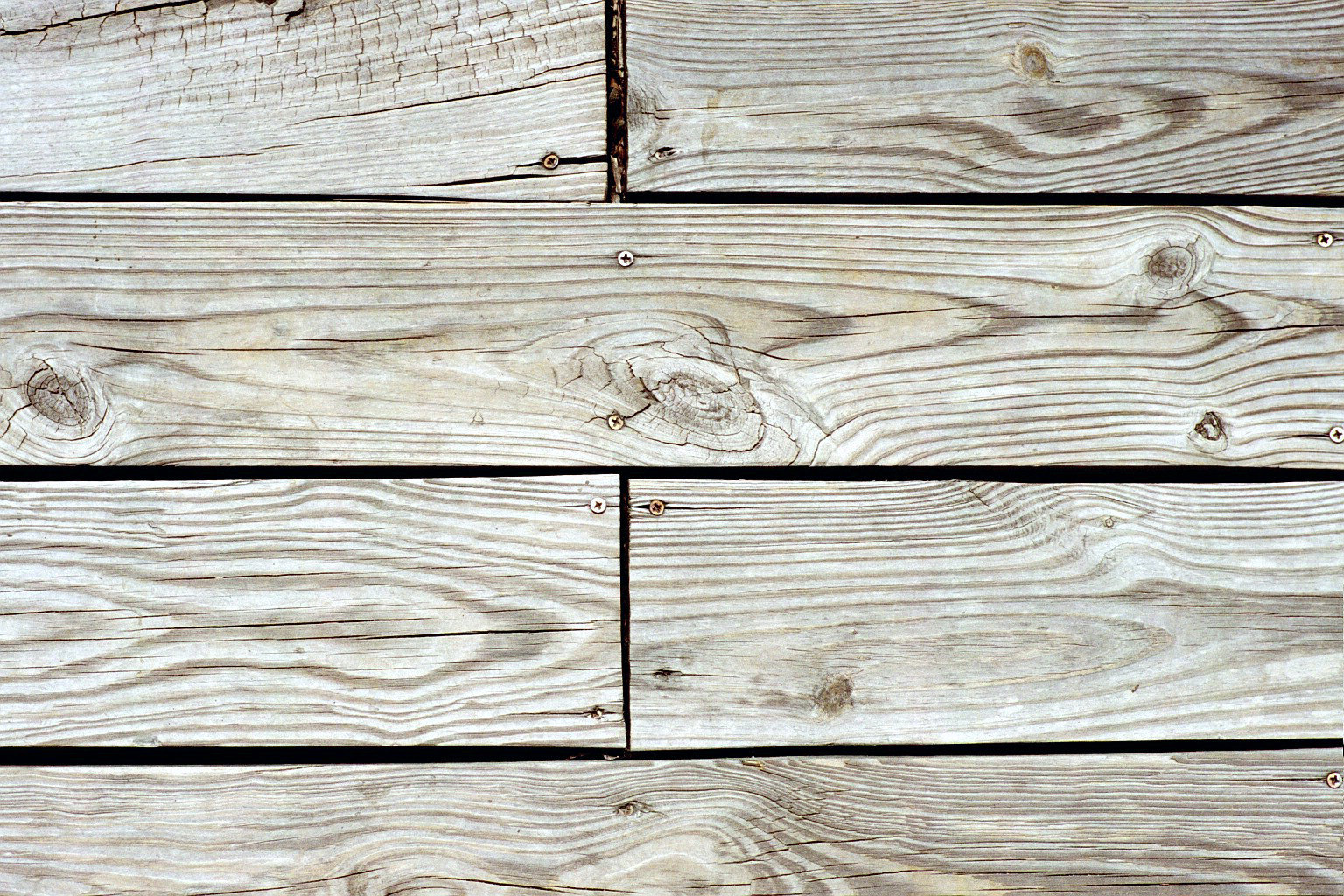wood19