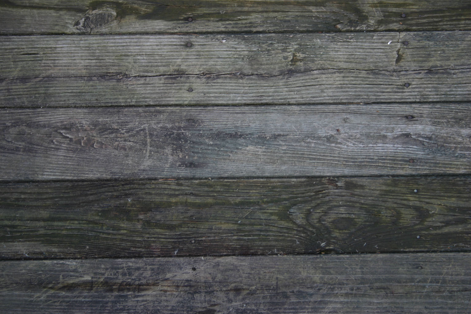wood23