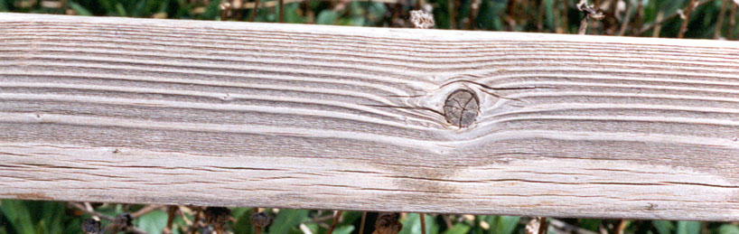 wood3