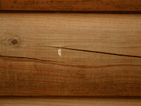 wood 33