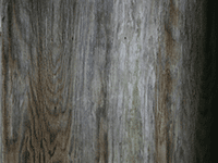 wood 39