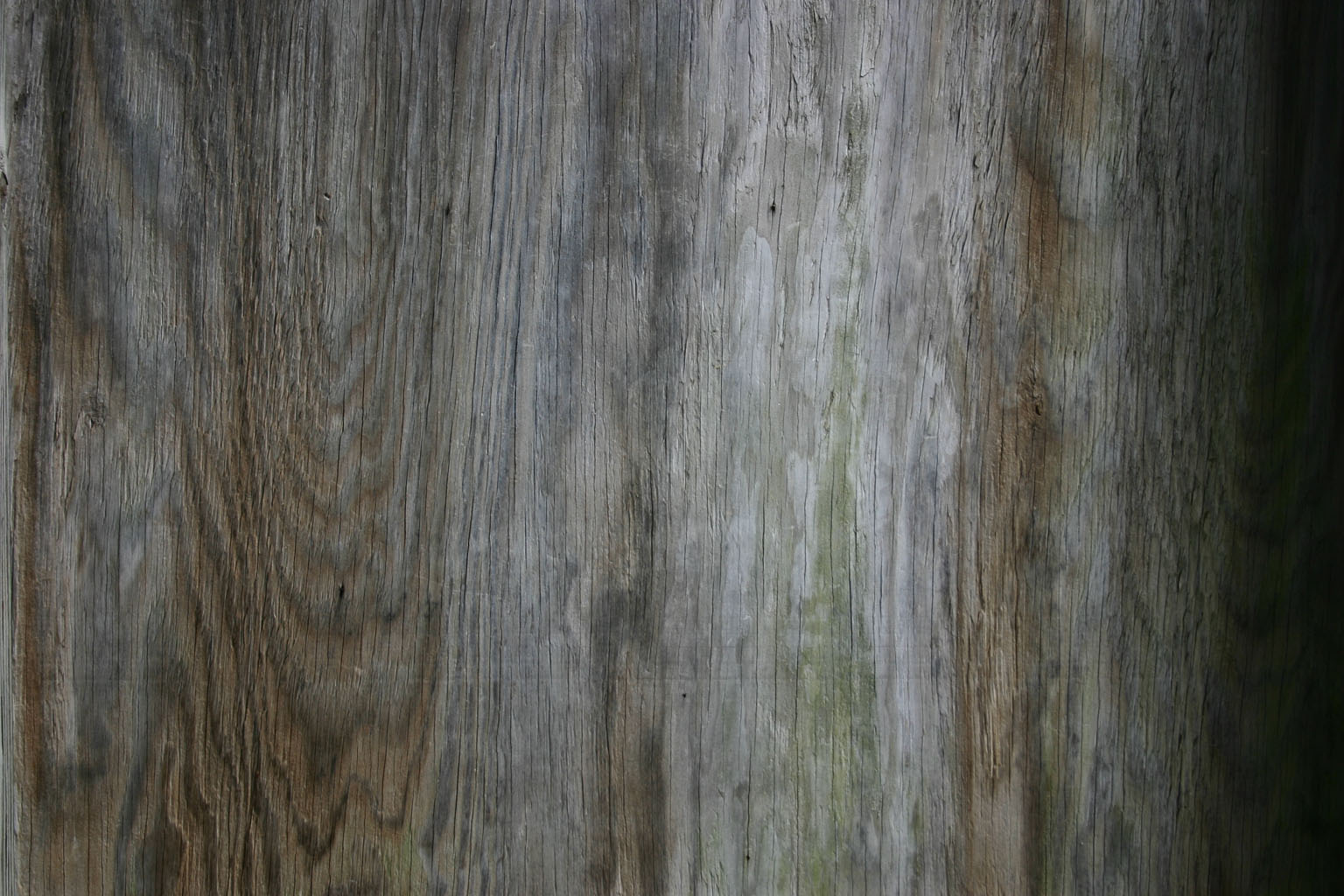 wood39