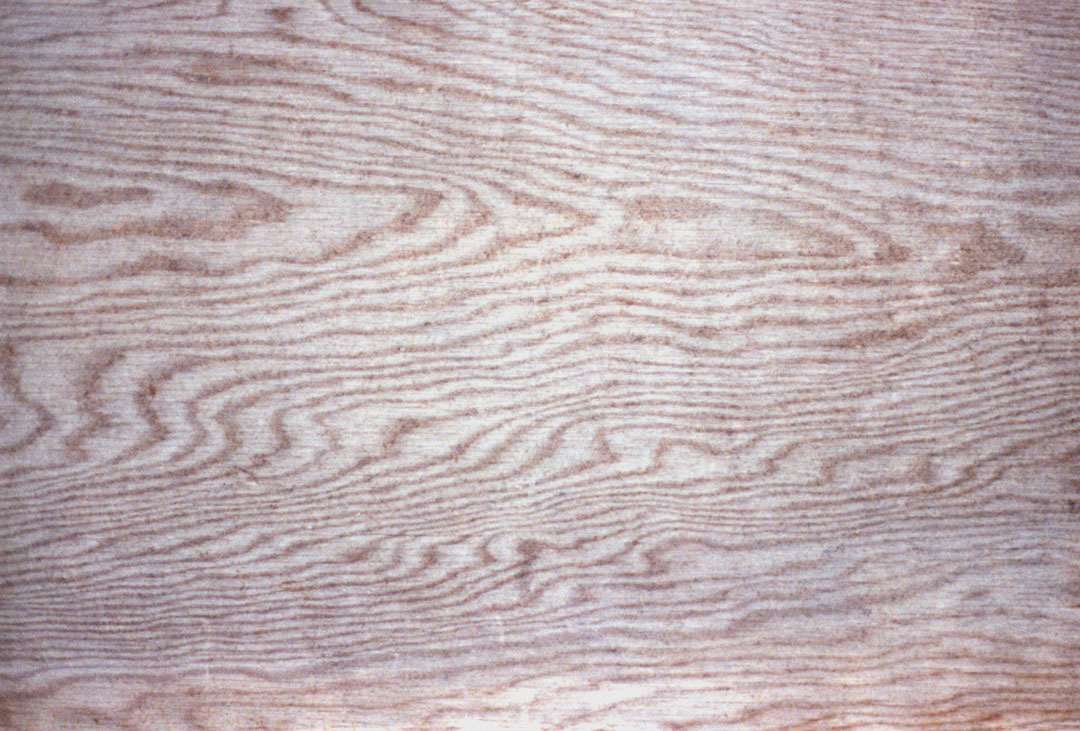 wood4