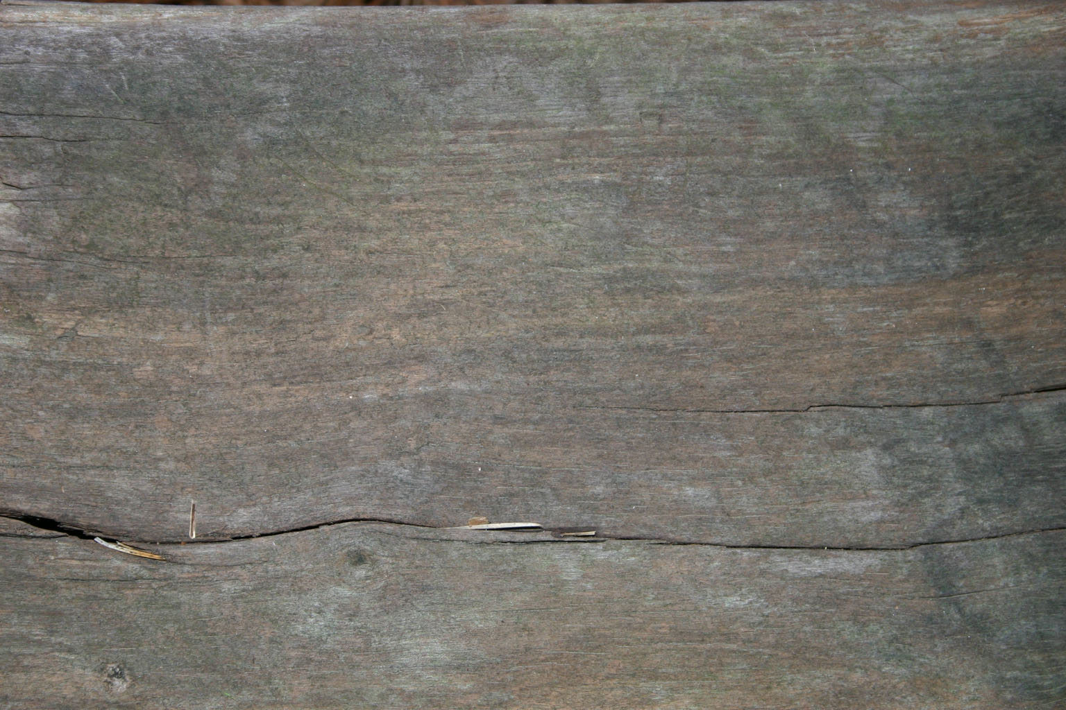 wood40