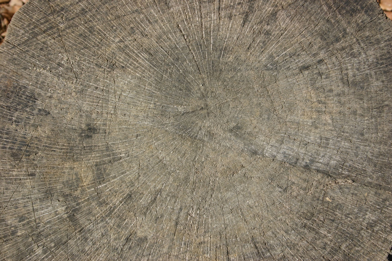 wood47